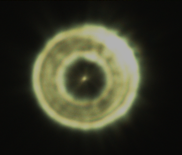1735231466931.png