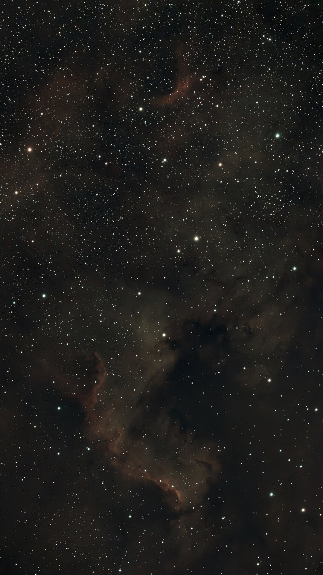 1735414939365-1.jpg