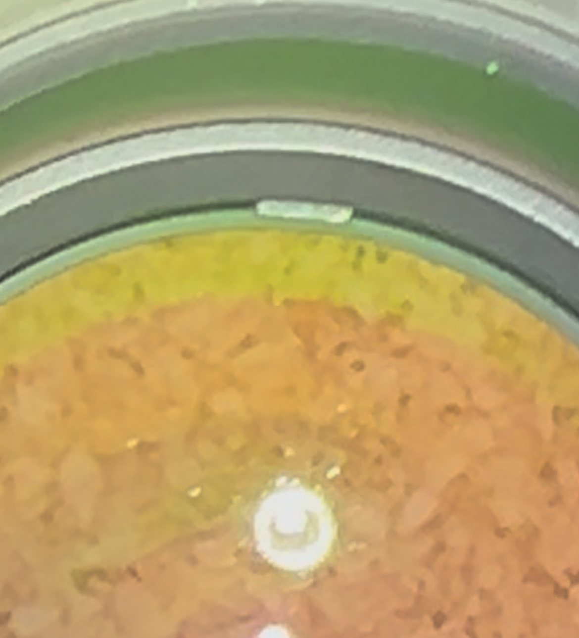1736591049917.png