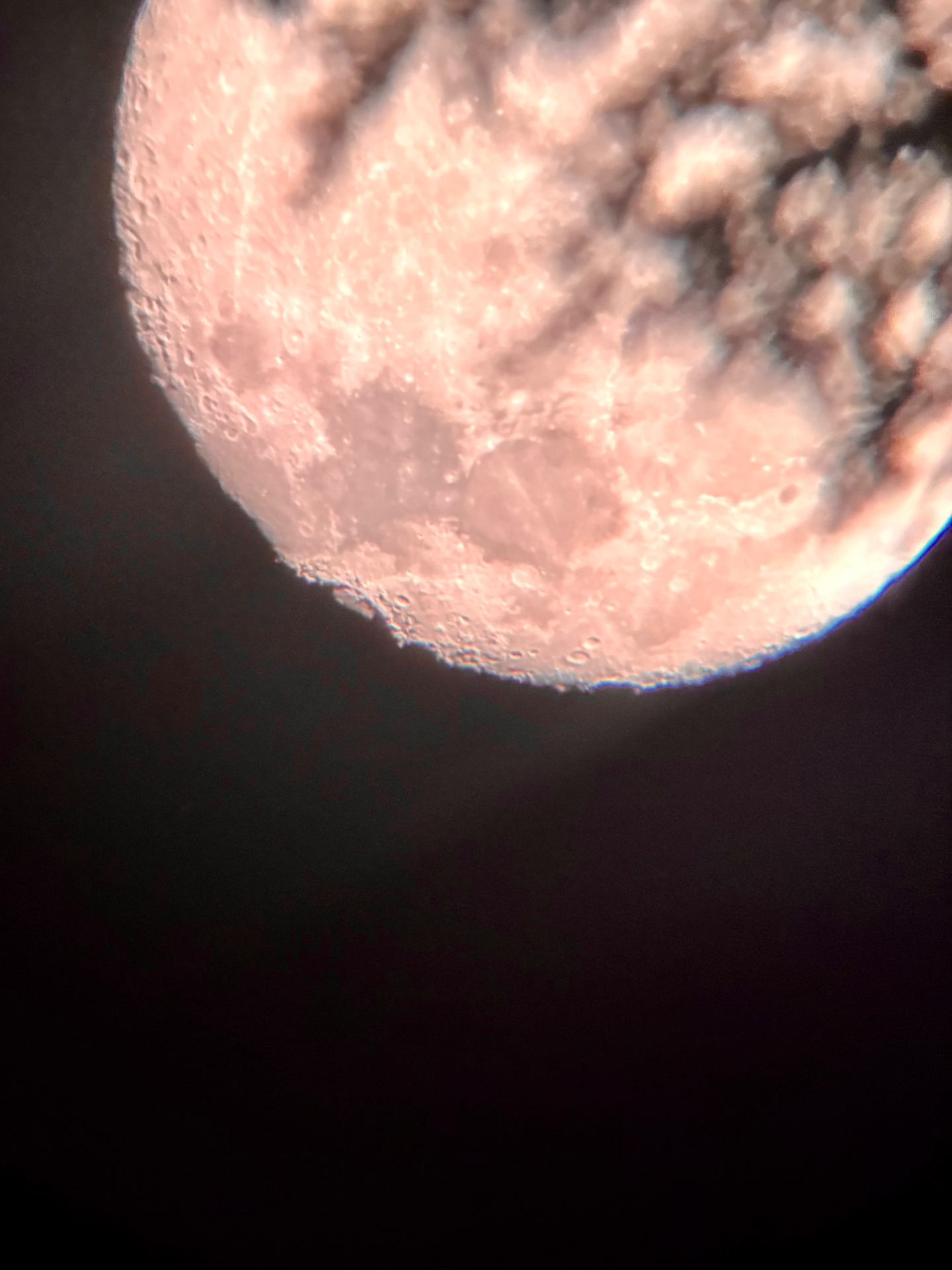 IMG_8989.jpeg
