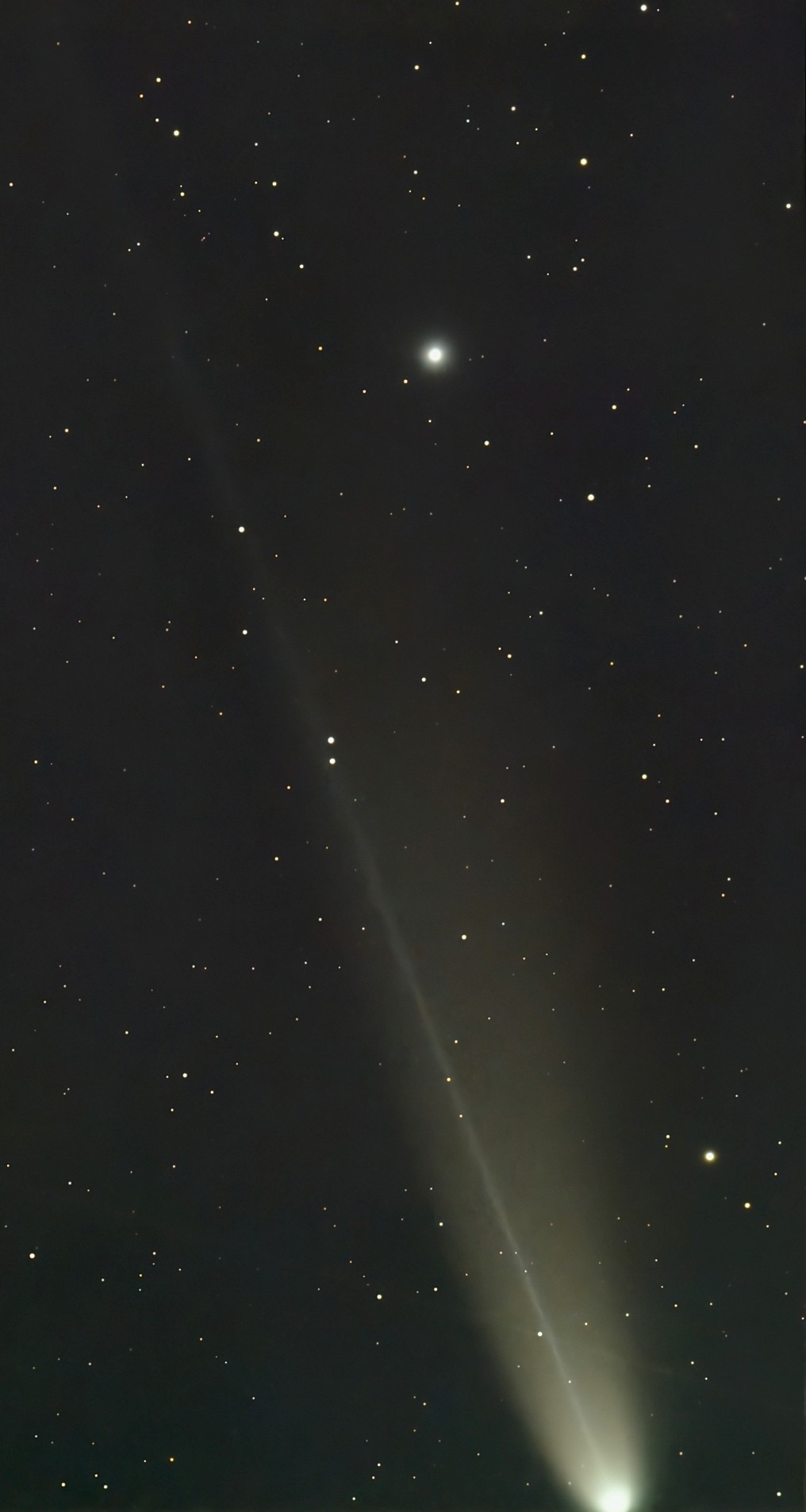 1762019266701a.jpg