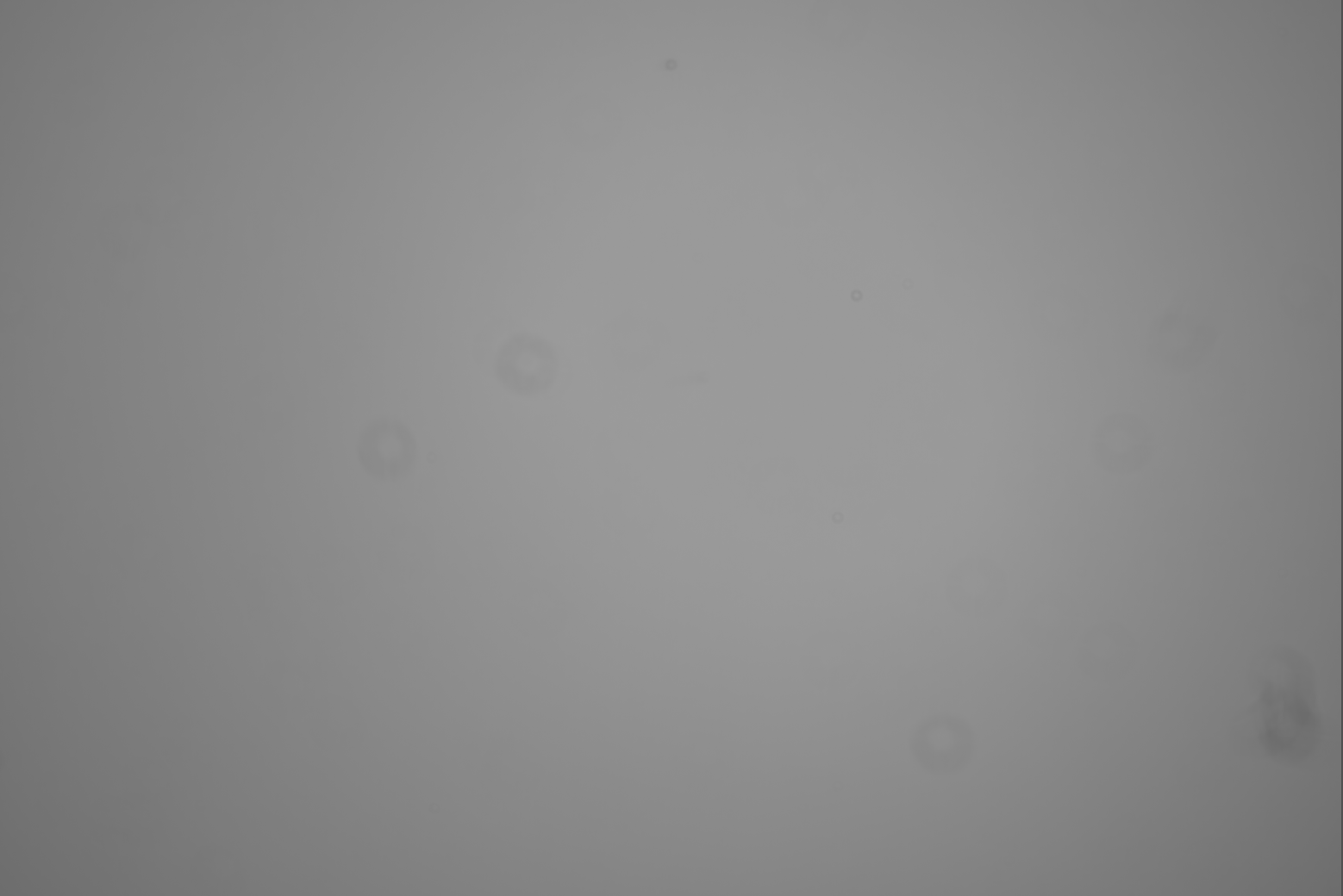 1790861031412.png