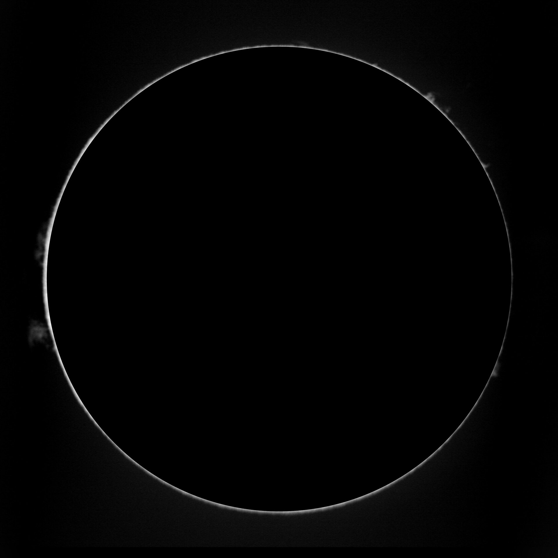17_41_37_20261014_protus_0_00.jpg