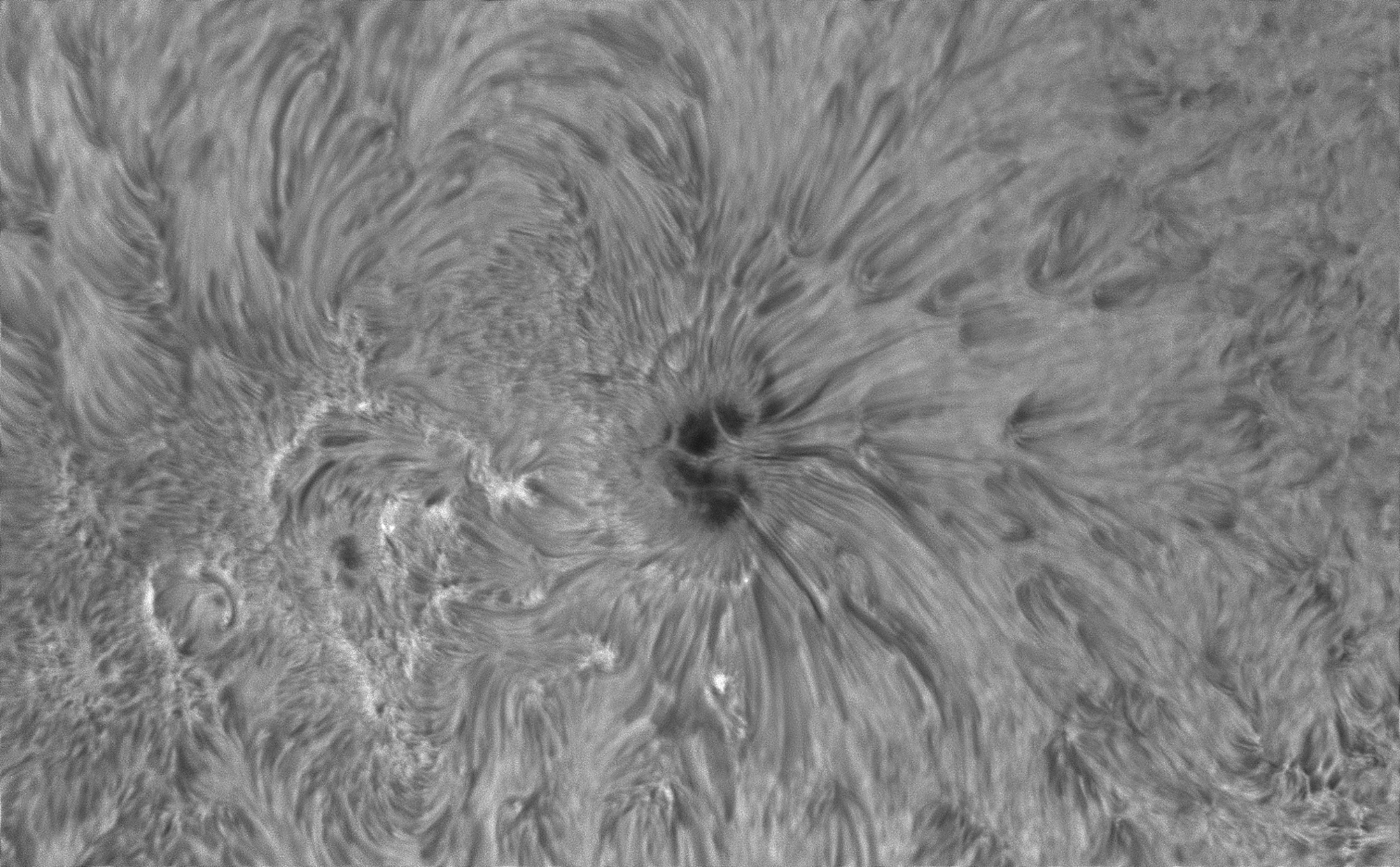 1_2026-07-08-1544_9-Sonne Ha Mak180-fok-DS-AM_P60 (AR4482)-klein.jpg