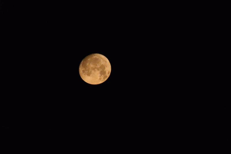 20.07.2024.gif