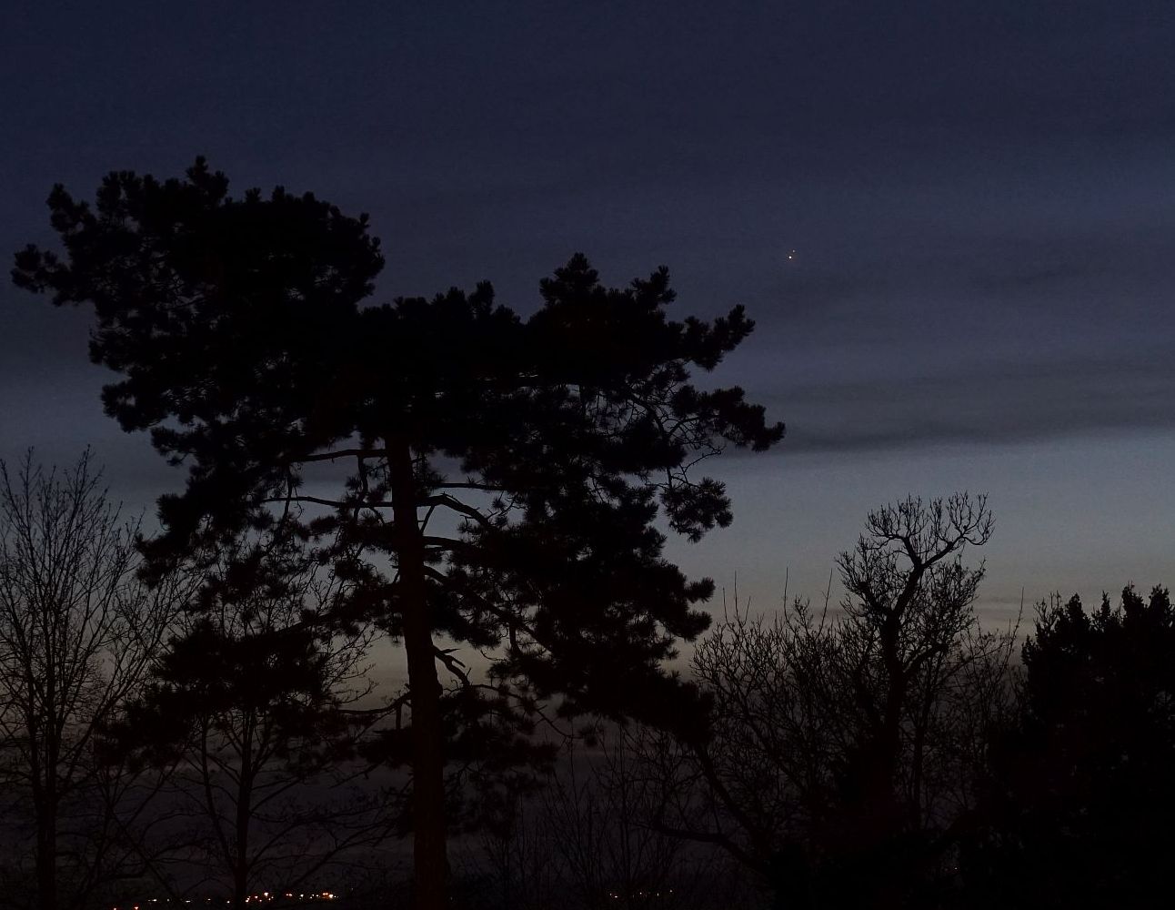 201221.jpg