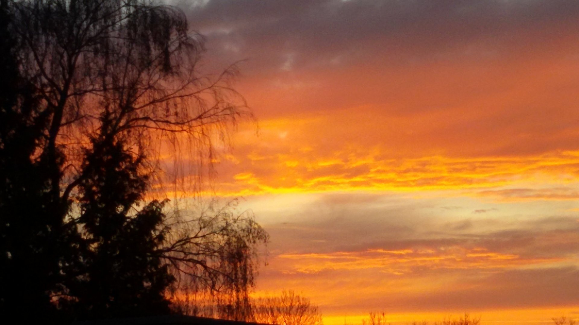 20160404_201549.jpg