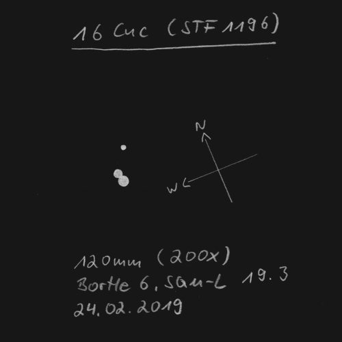 2019-02-24_stf1196.jpg