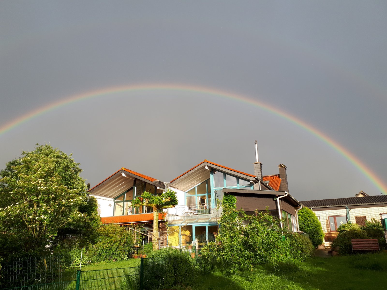 20190608_201415.jpg