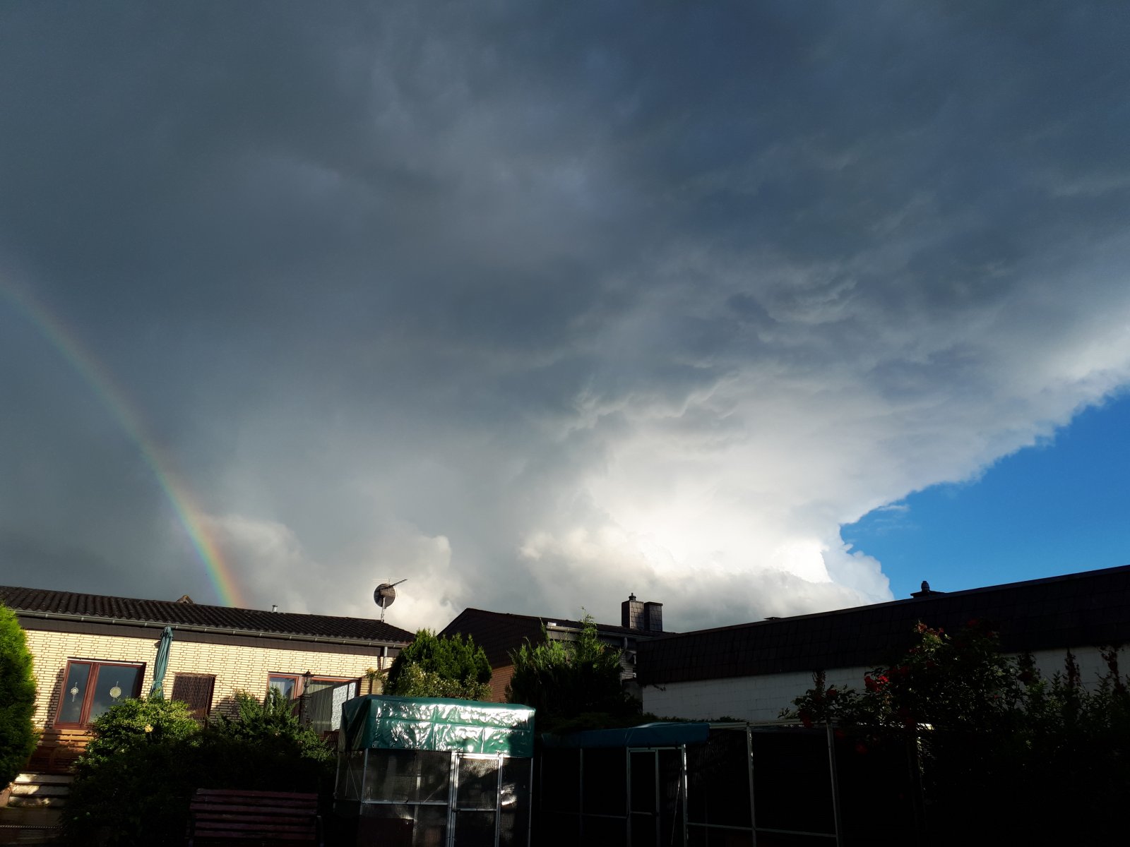 20190608_202108.jpg