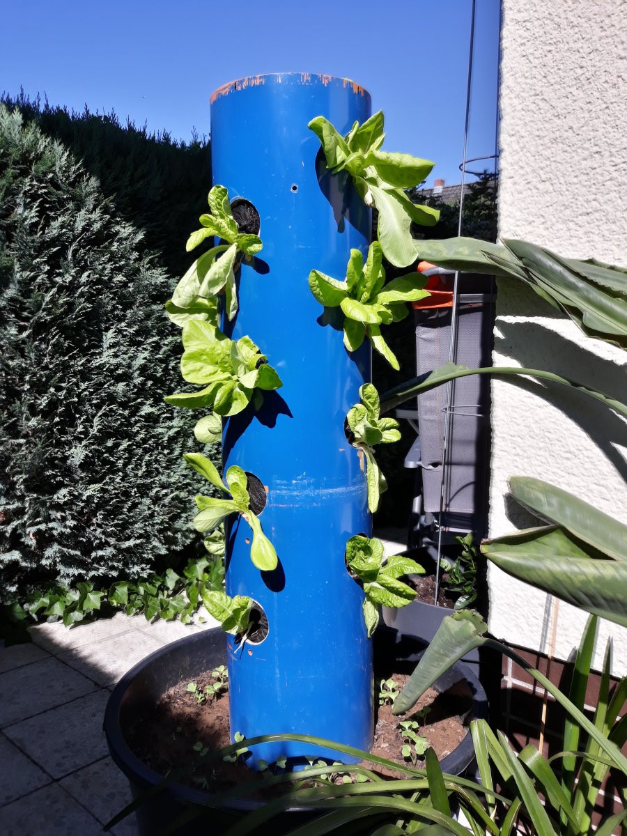 20190629_095428.jpg