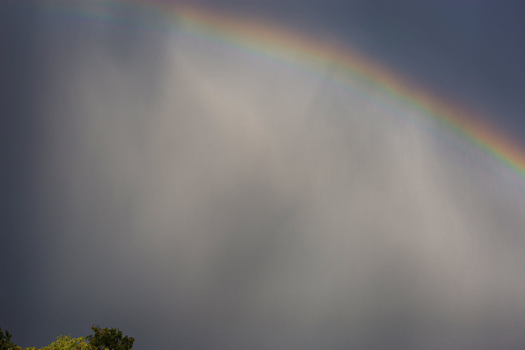 20200628-rainbow-0236.jpg