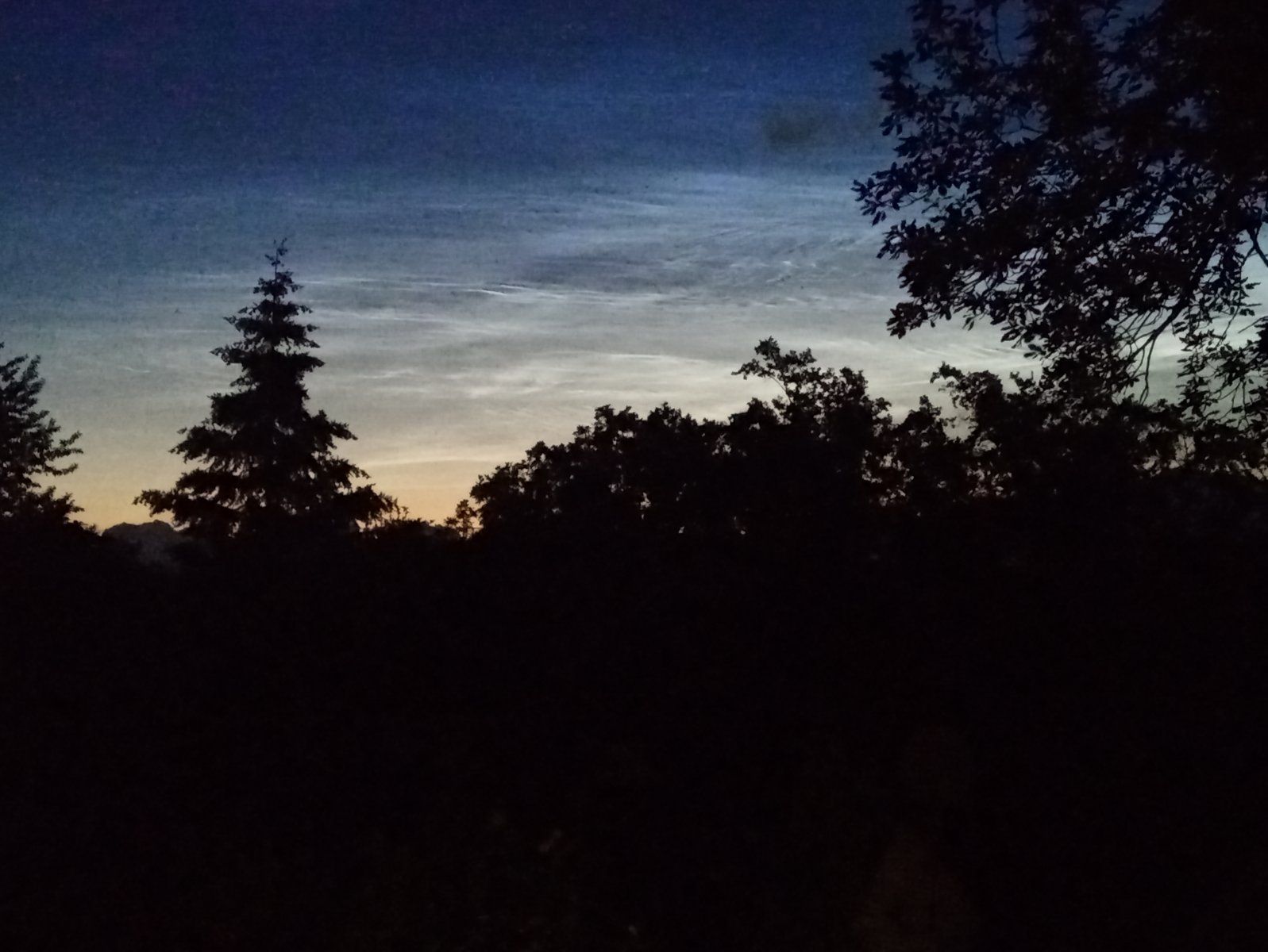 20200705_230220.jpg