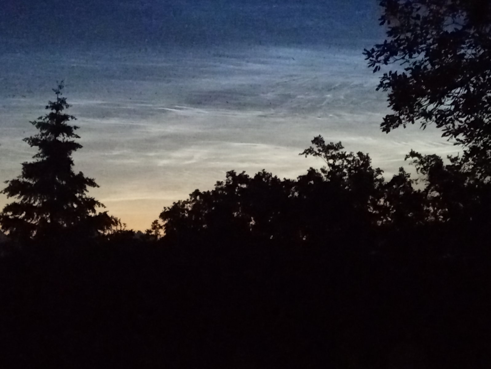 20200705_230235.jpg