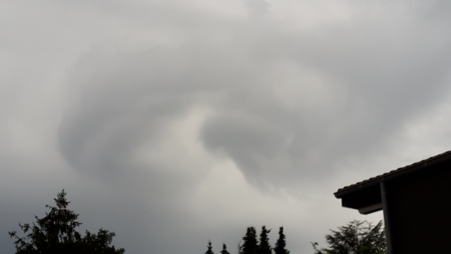 20200816_173712.jpg