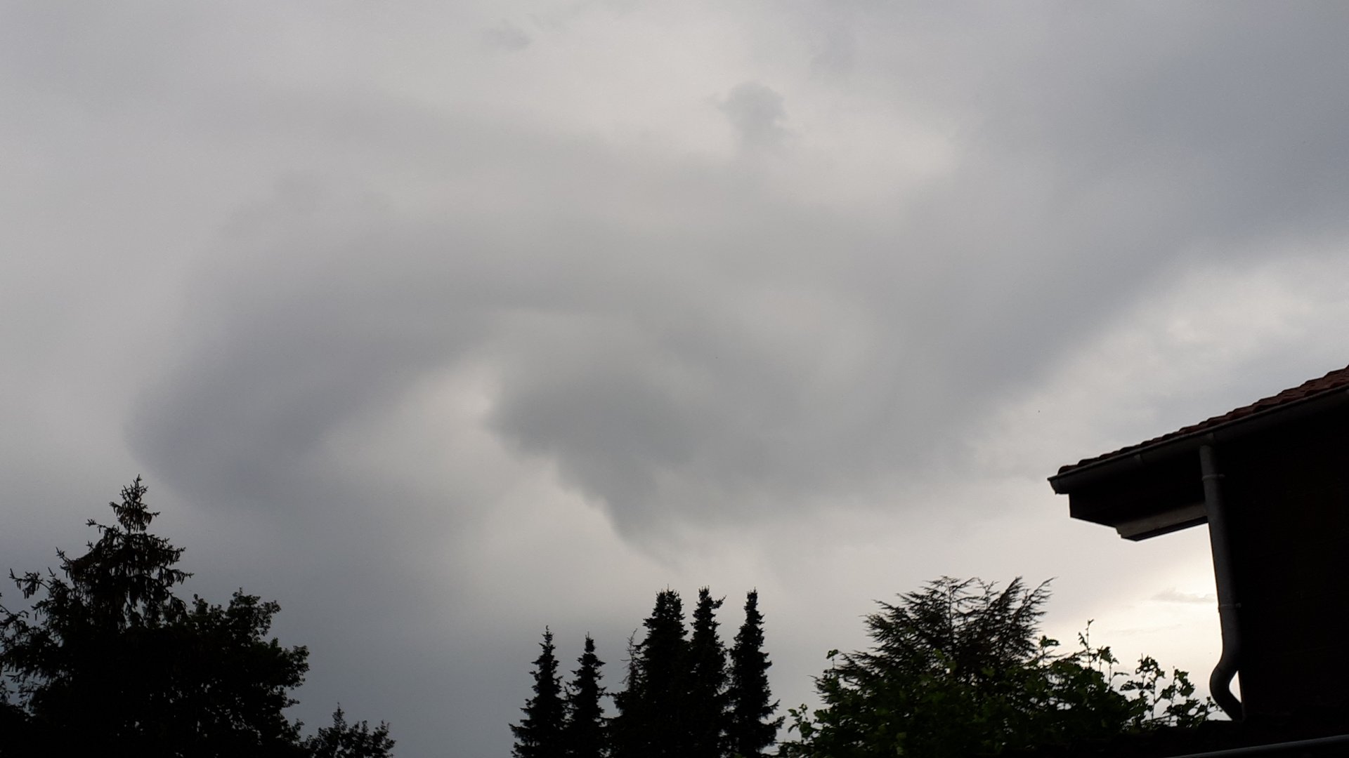 20200816_173910.jpg