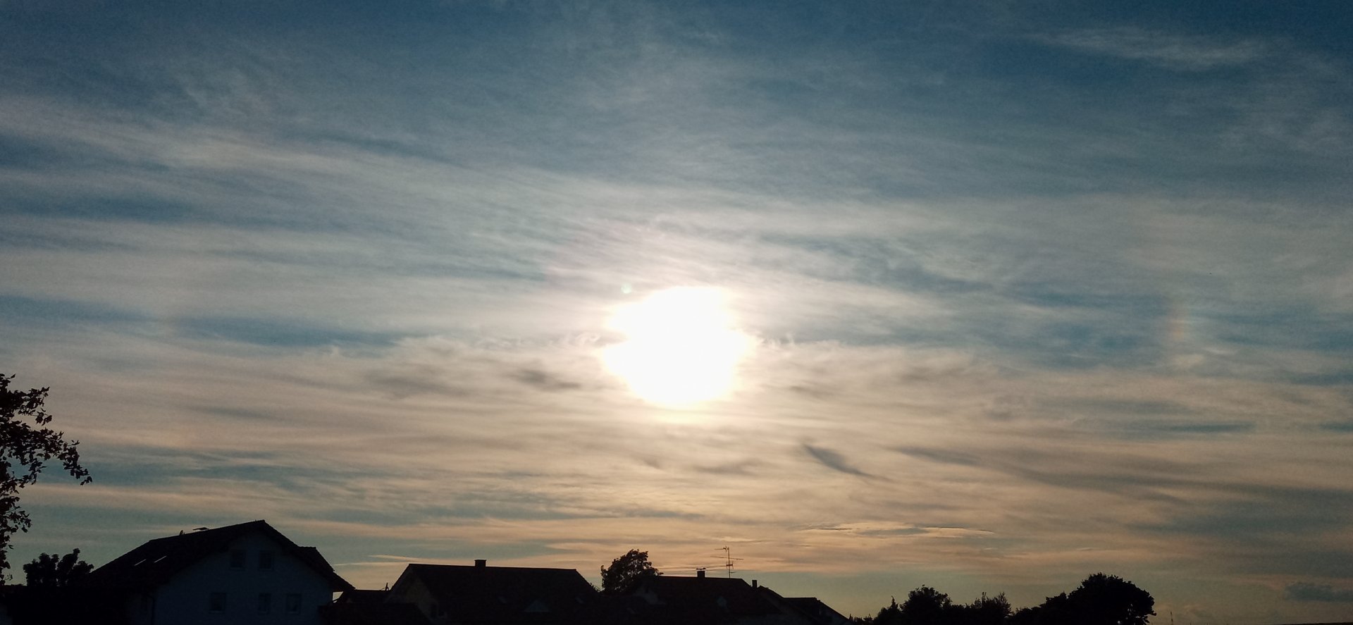 20200902_182236.jpg
