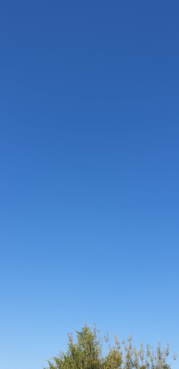20200915_170944.jpg