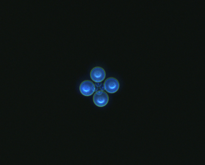 2021-02-13-1225_4-KolimationFH100f100_0000.PNG