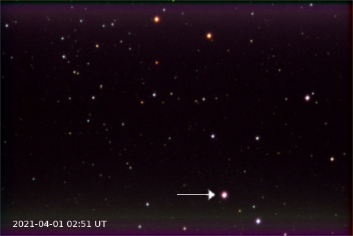 2021-04-01-0251_sm.jpg