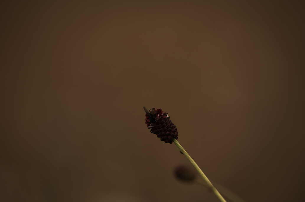 2021-08-14T11.23.20.png
