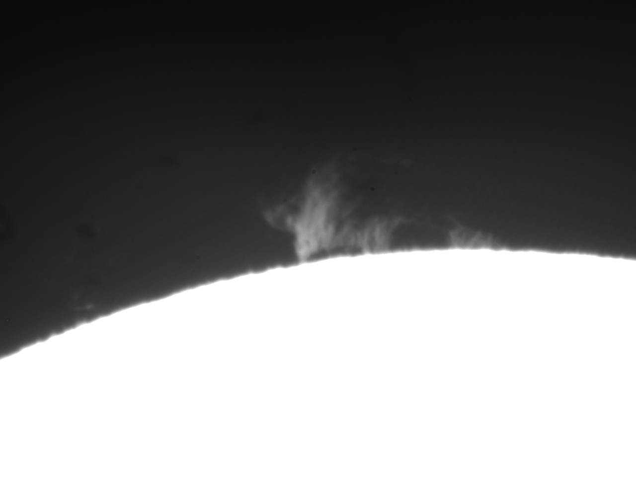 2021-09-02-1009_0-CapObj_0004.jpg