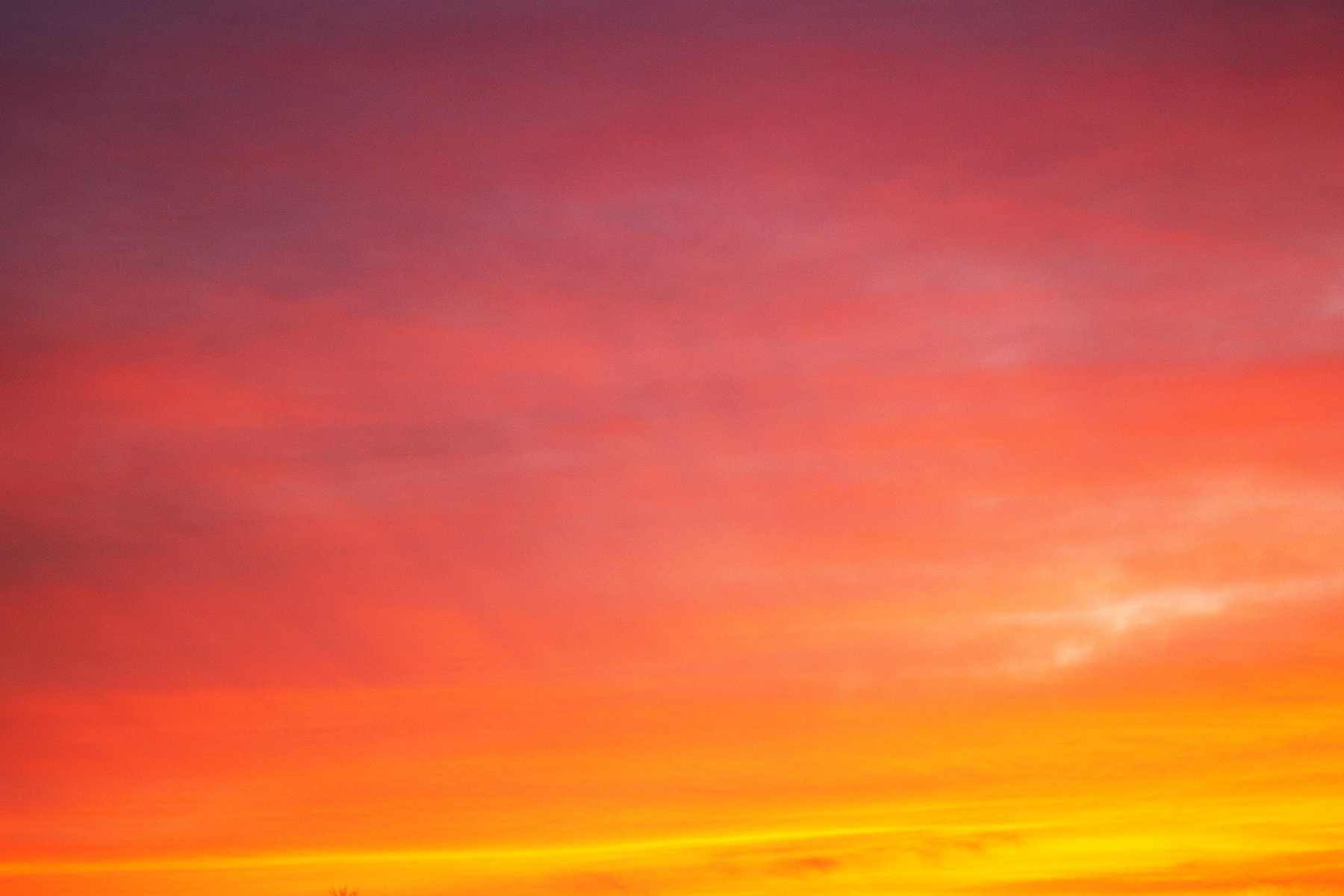 20210223-sunset-IMG_0002.jpg