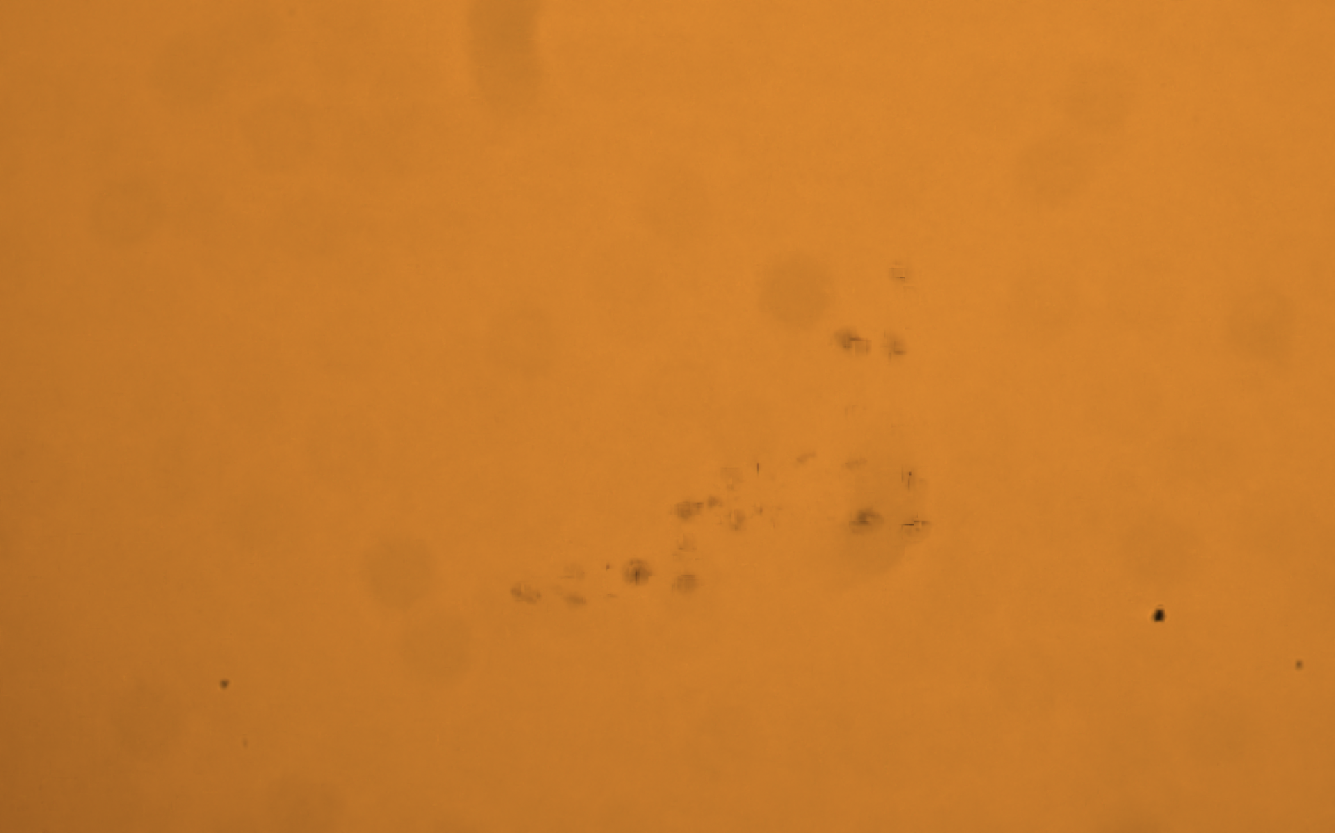 20210426130722299_lapl5_ap26033.png