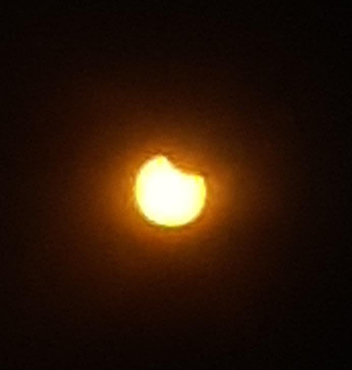 20210610_120646.jpg