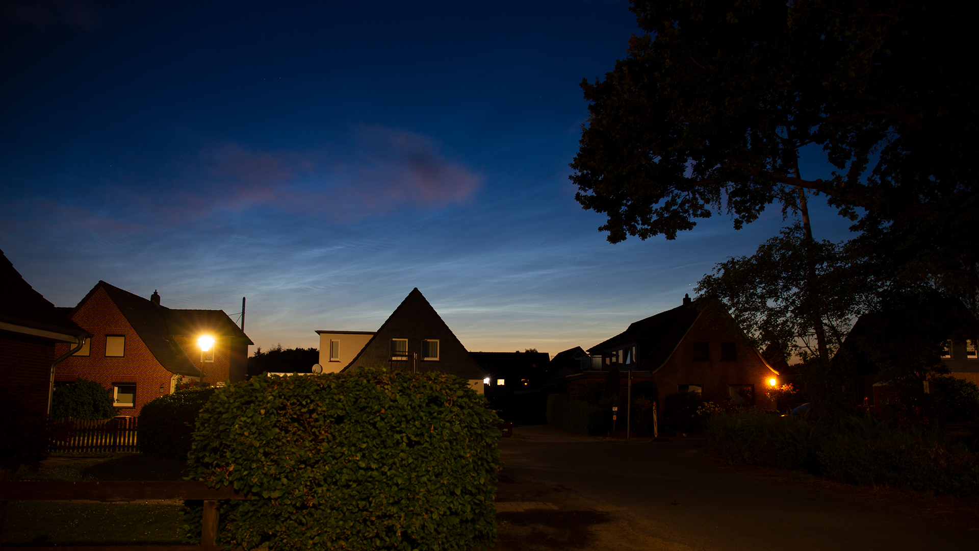 20210627-nlc-0025.jpg