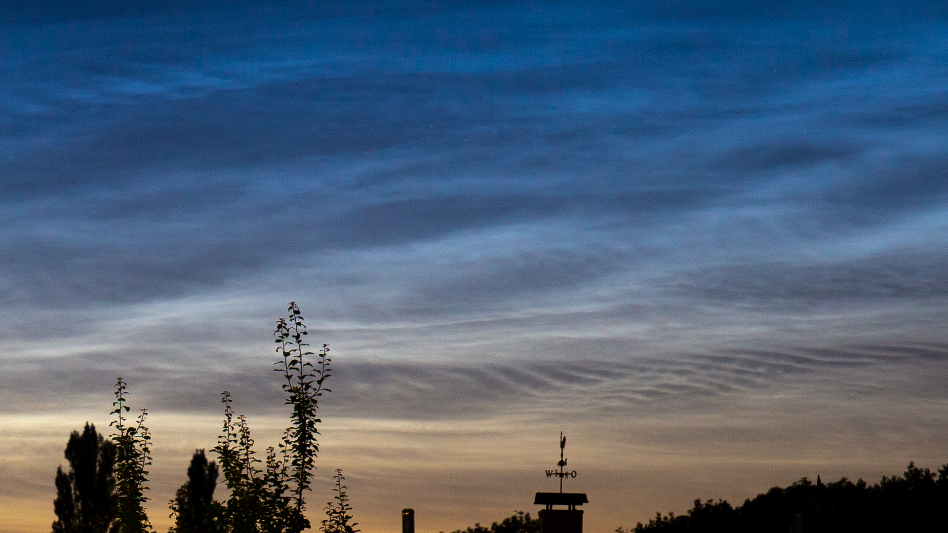 20210627-nlc-0040.jpg
