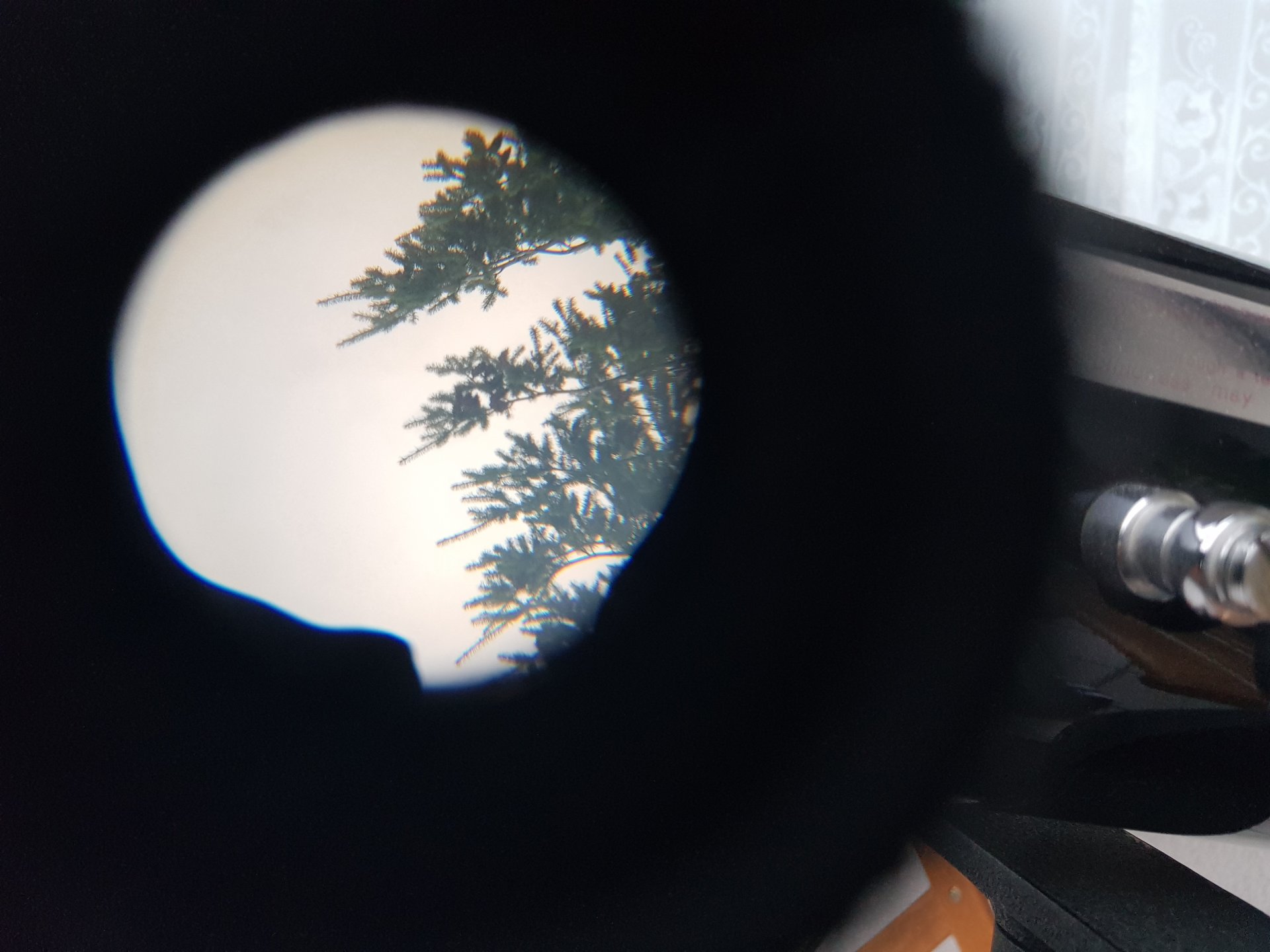 20210817_195144.jpg