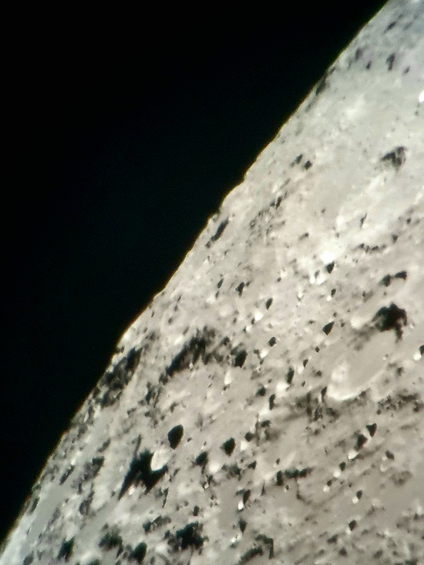 20211028_054229.jpg