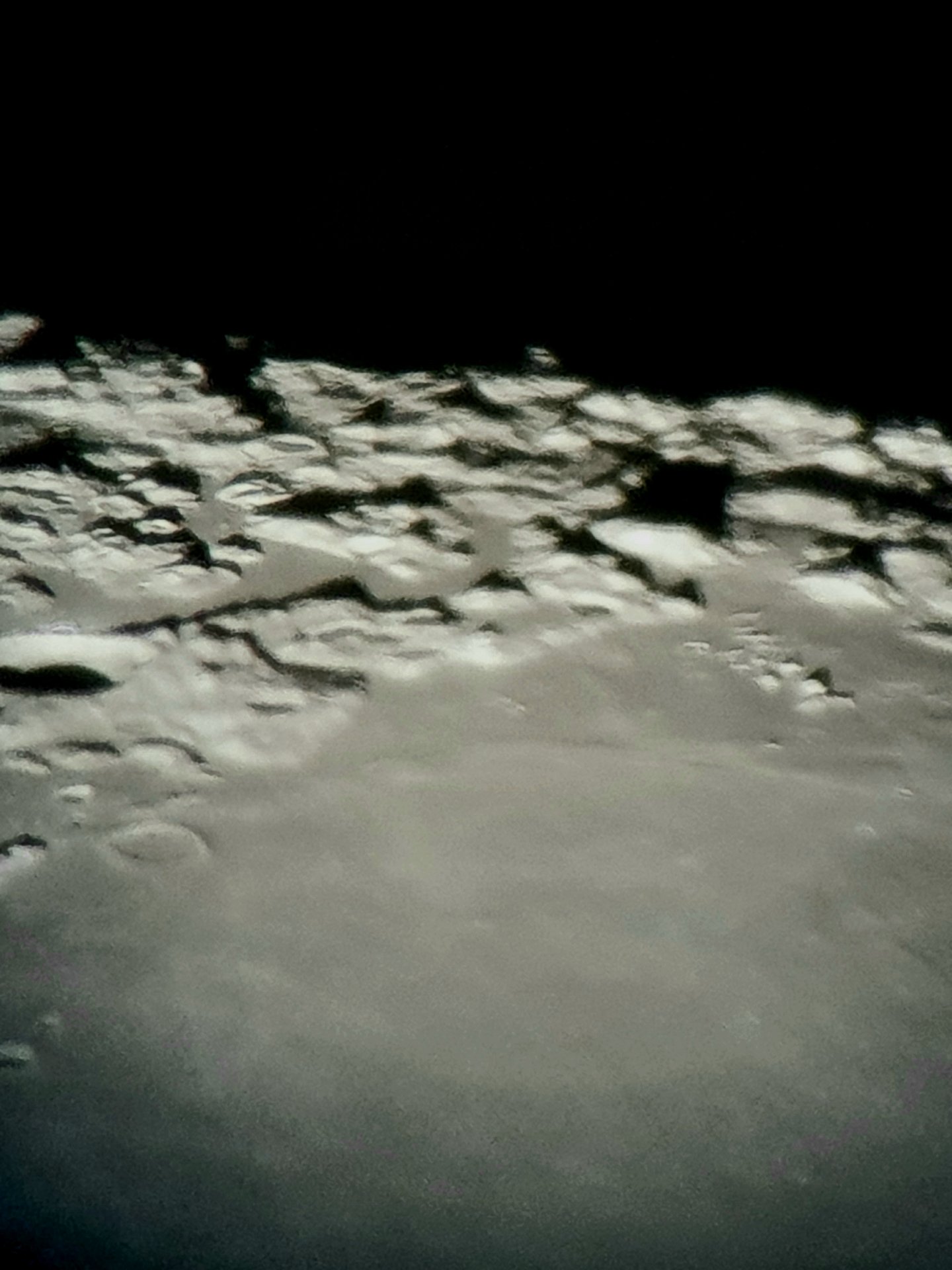 20211120_230807.jpg