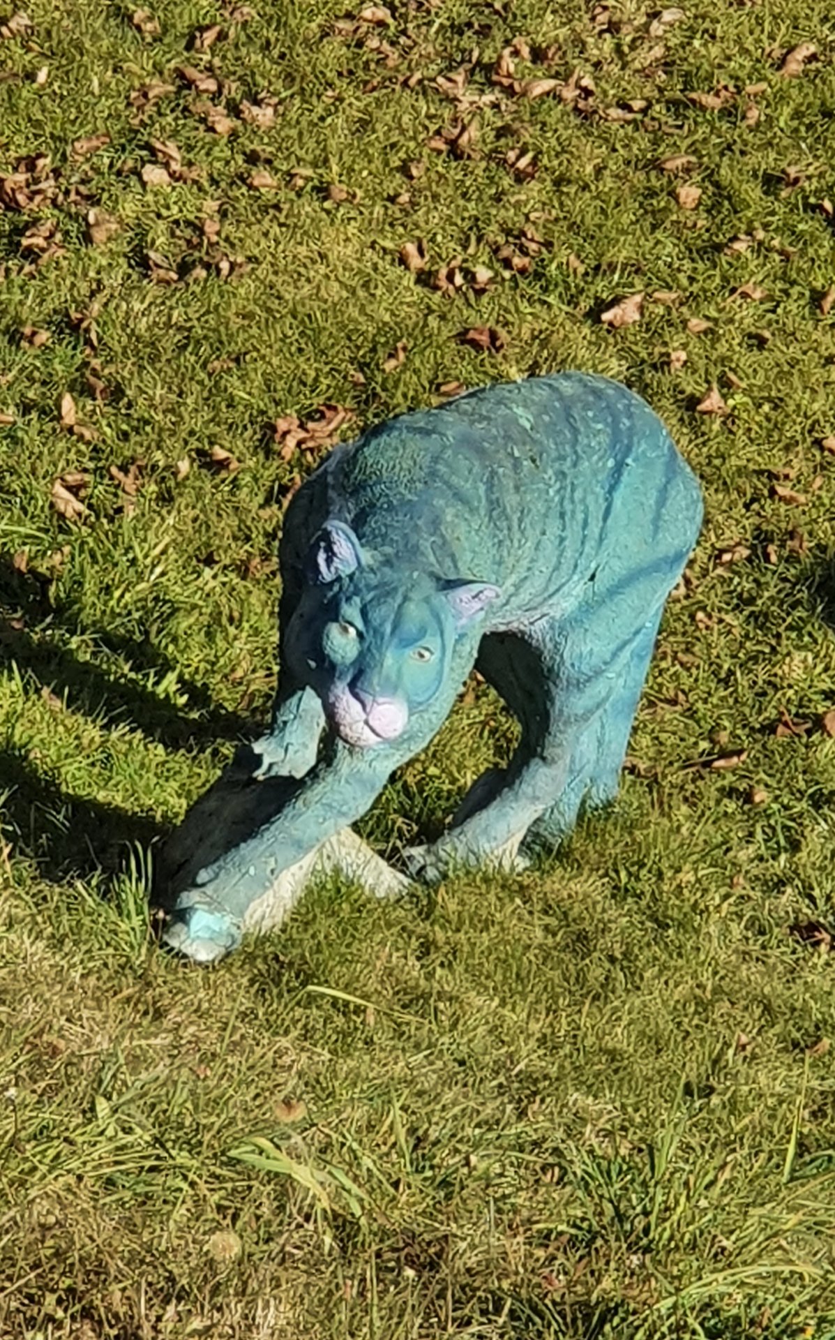 20211125_121050.jpg