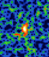 20211130_042423_49968700Hz.jpg