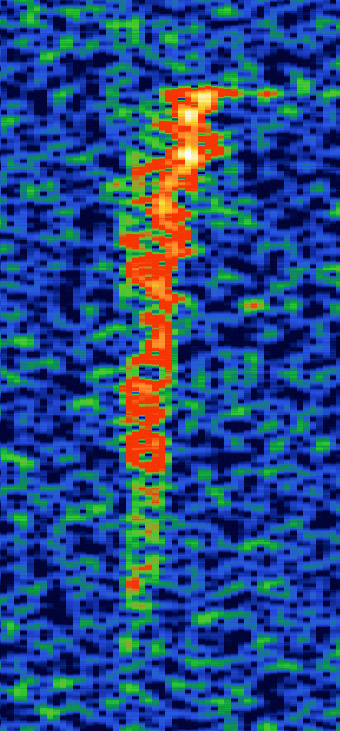 20211205_045235_49968700Hz.jpg
