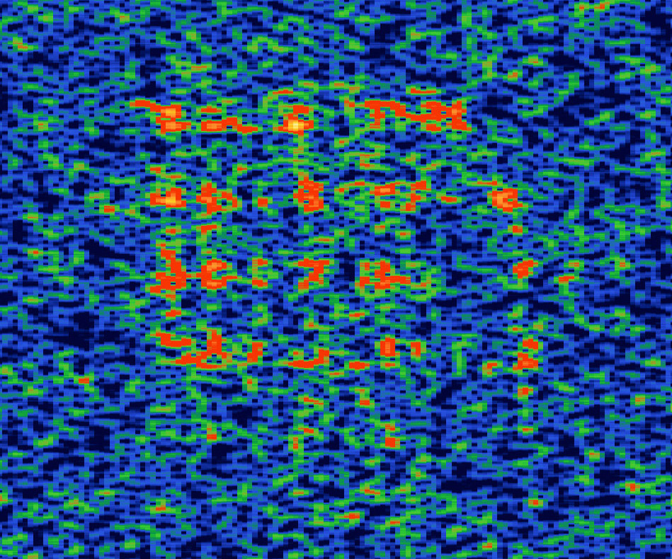 20211205_065527_143049020Hz.jpg