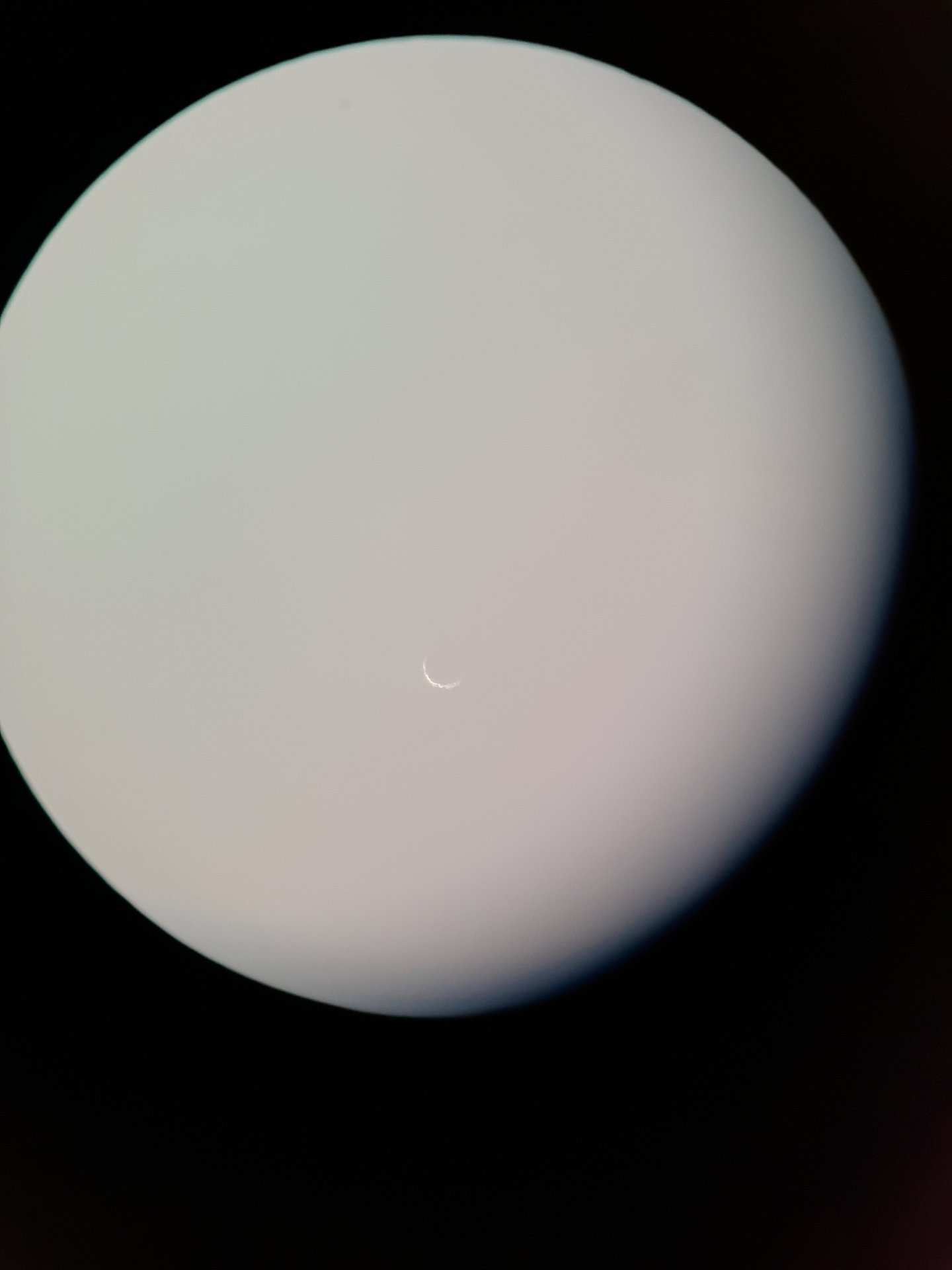 20220107_120452.jpg