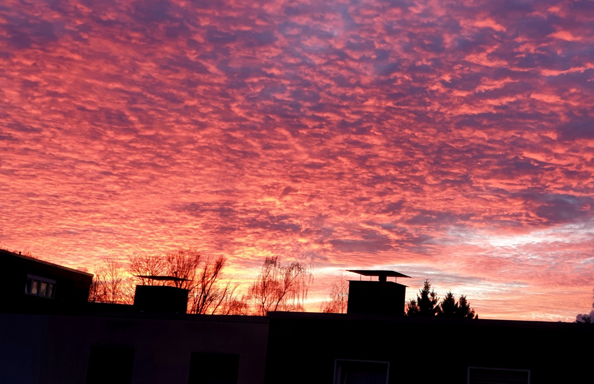 20220111_185817.jpg