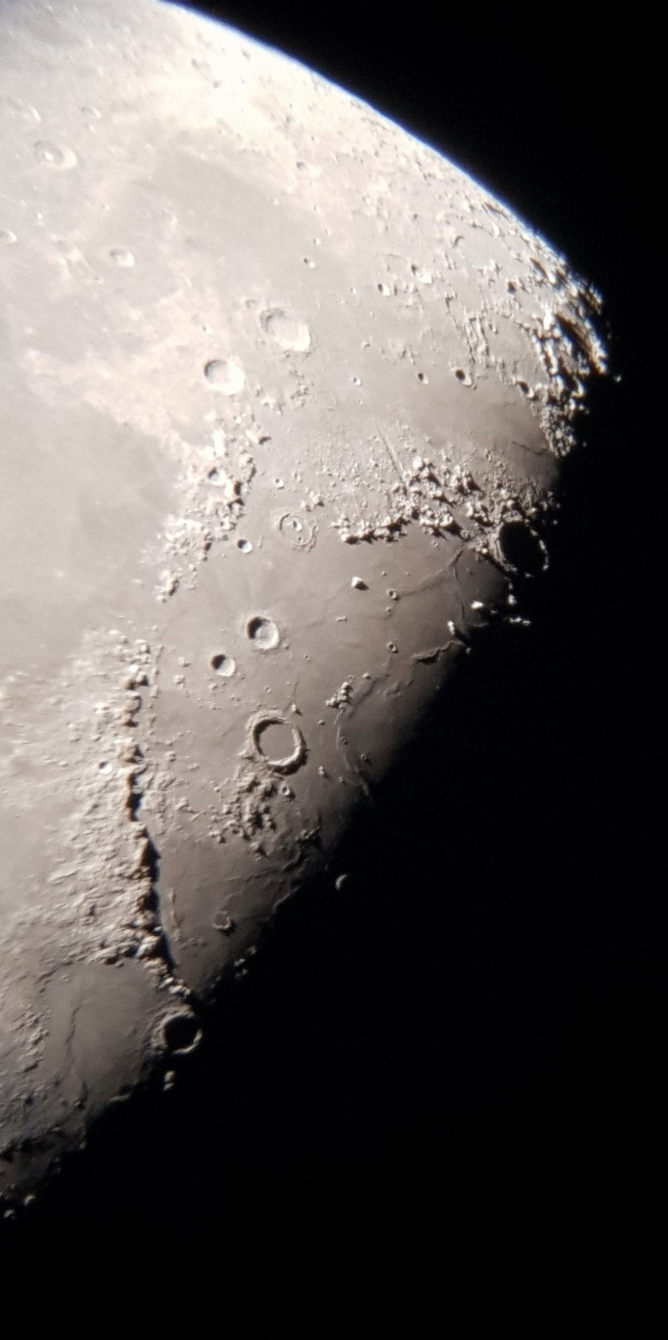 20220210_160030.jpg