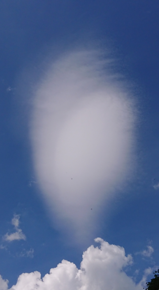 20220518_2.jpg