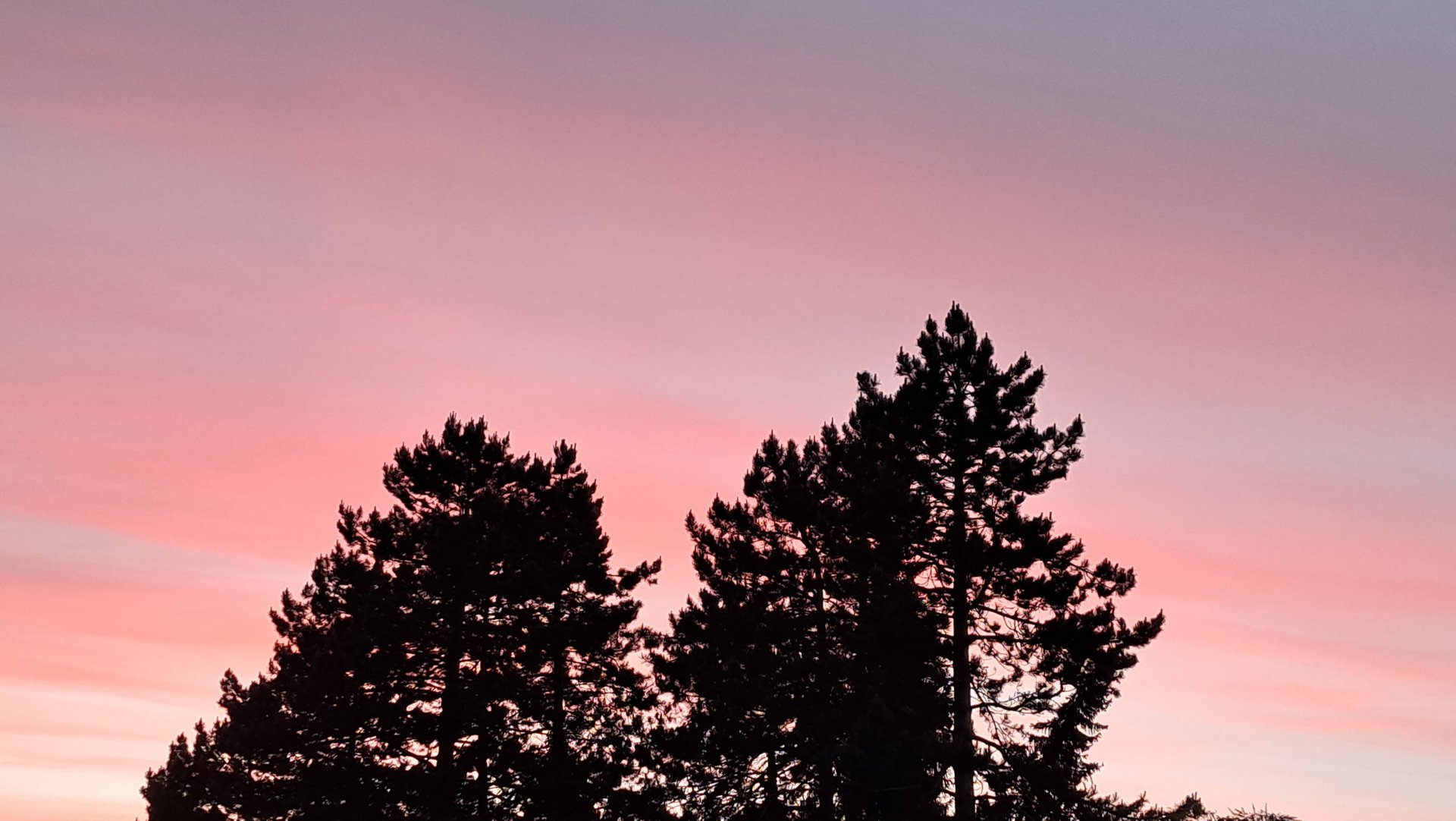 20220524_214111.jpg