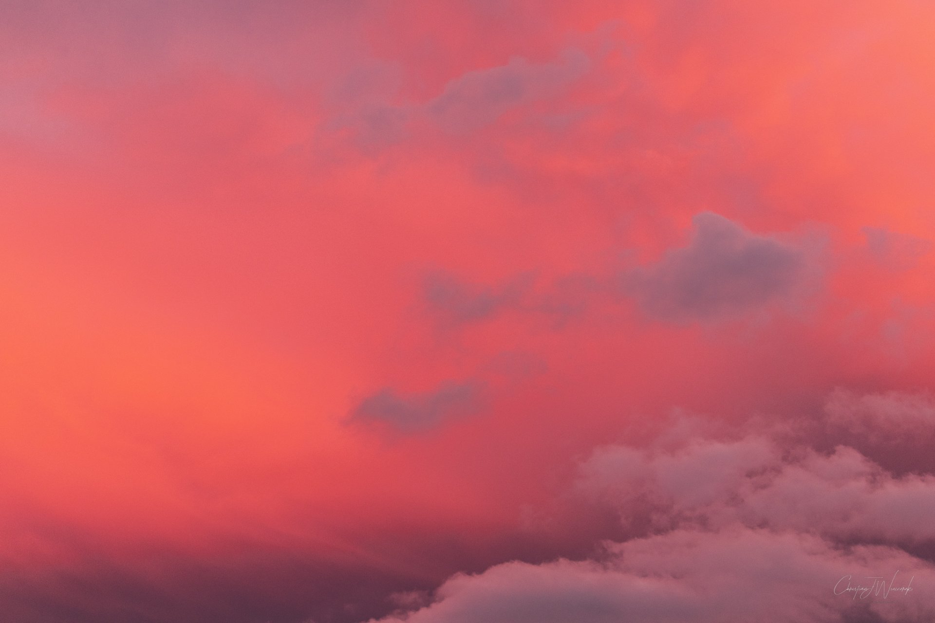 20220619-_MG_5521-2.jpg