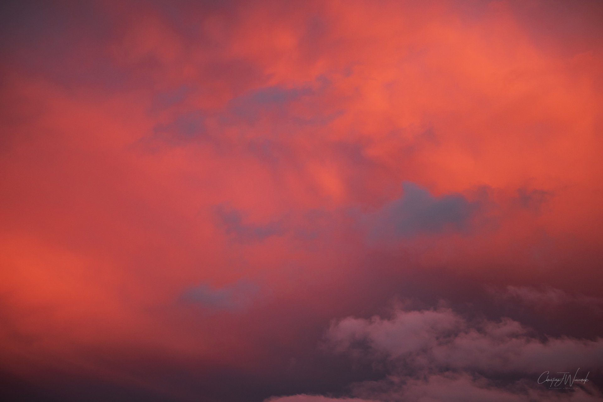 20220619-_MG_5523-2.jpg