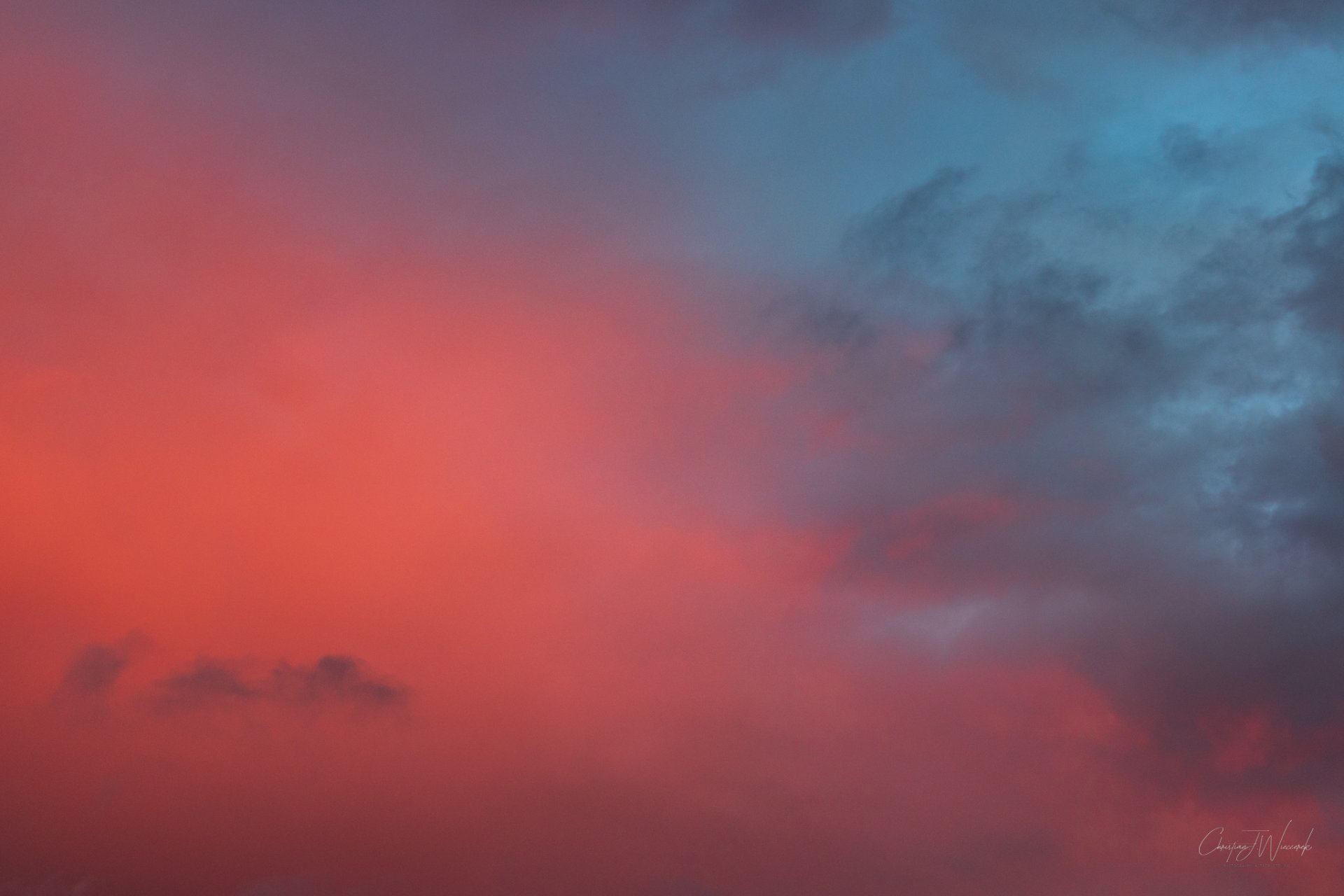 20220619-_MG_5525-2.jpg