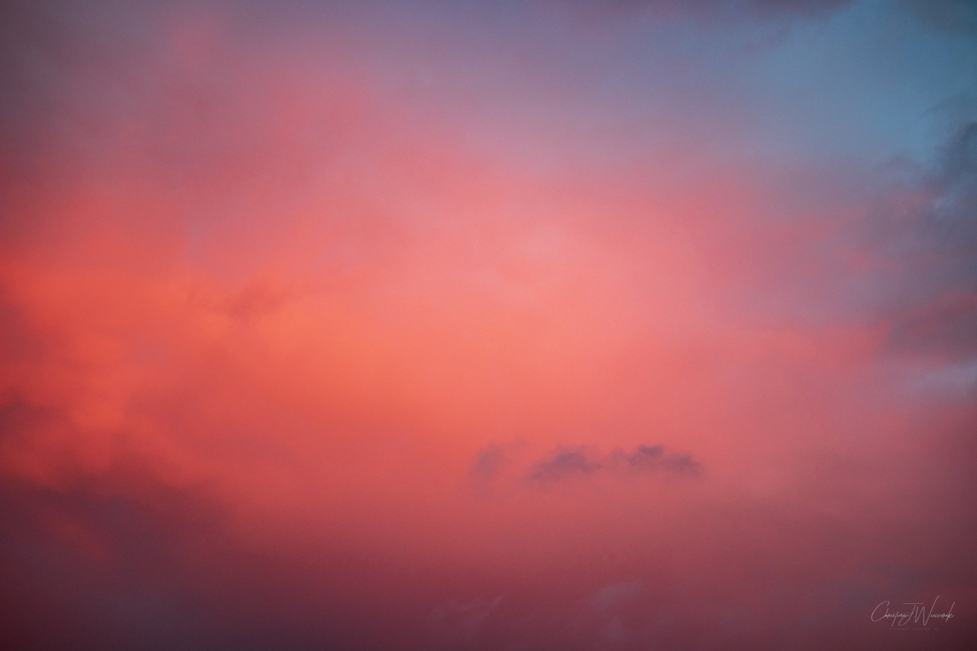 20220619-_MG_5526-2.jpg