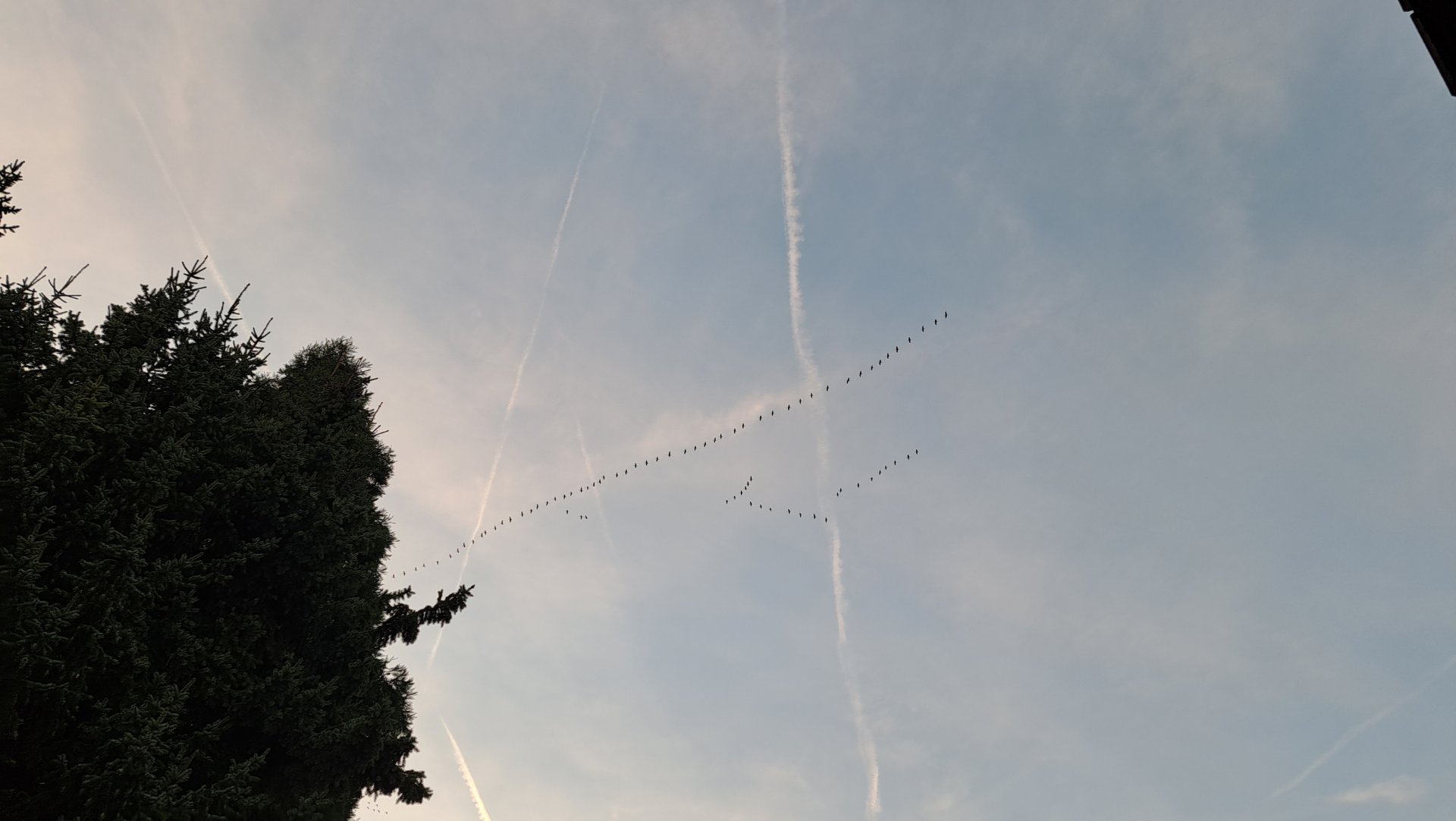 20221030_170337.jpg