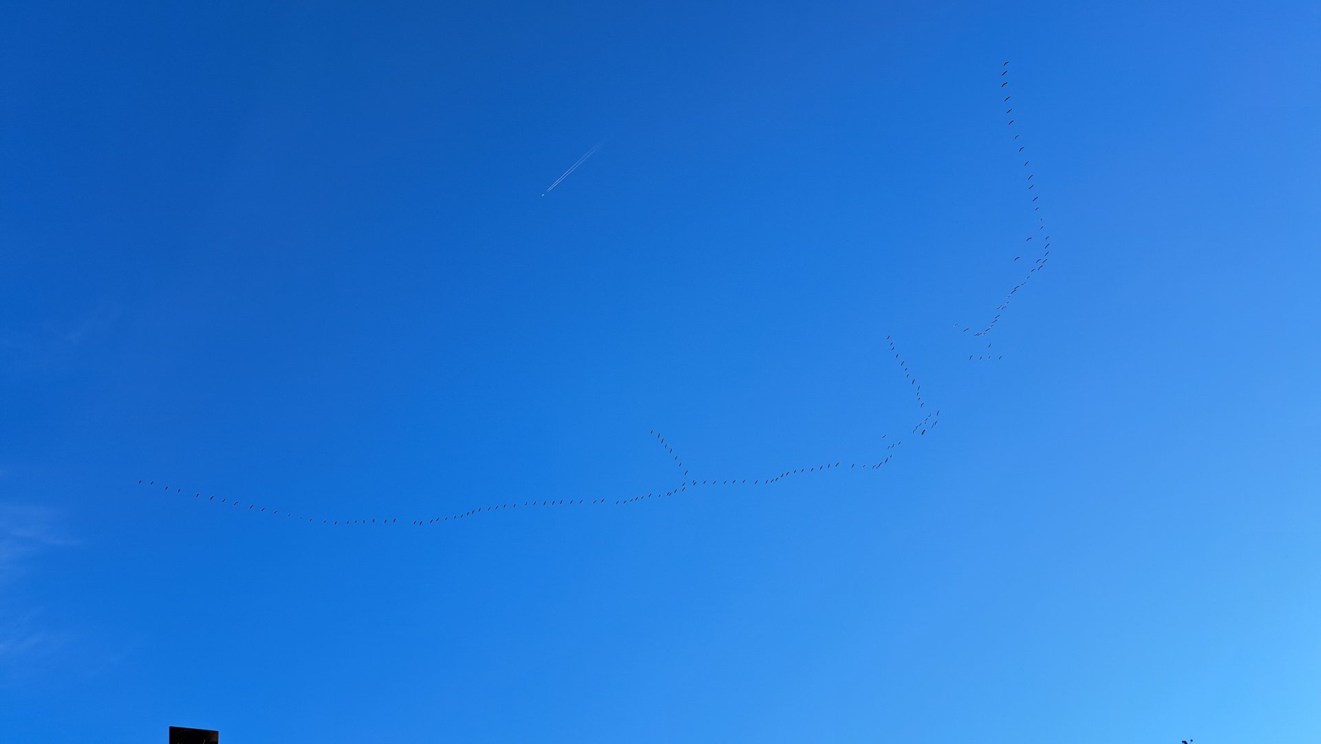 20221113_145523.jpg