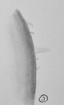 2022_02_12-3.JPG